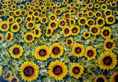Tournesols à San Gimignano (Toscane)